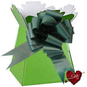 Shik Gifts Lime Green Living Vase Flower Box Flower Bouquet Transporter, Sweet Tree Box and Green Pull Bow + Mini card - DealYaSteal